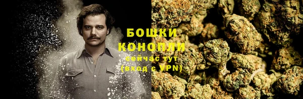 прущие крисы Гвардейск