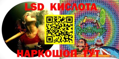 спайс Берёзовский