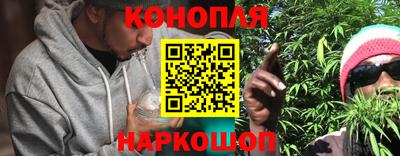 прущие грибы Балаково