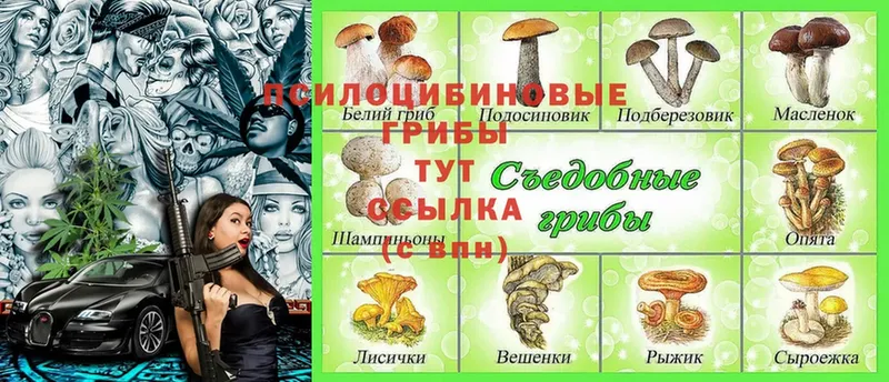 Псилоцибиновые грибы Magic Shrooms  Борисоглебск 