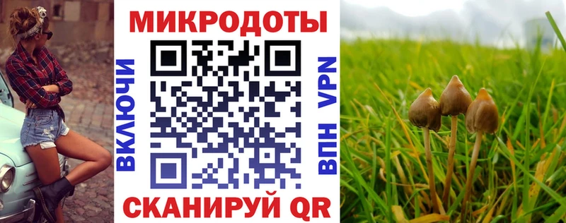 Псилоцибиновые грибы мухоморы  Борисоглебск 