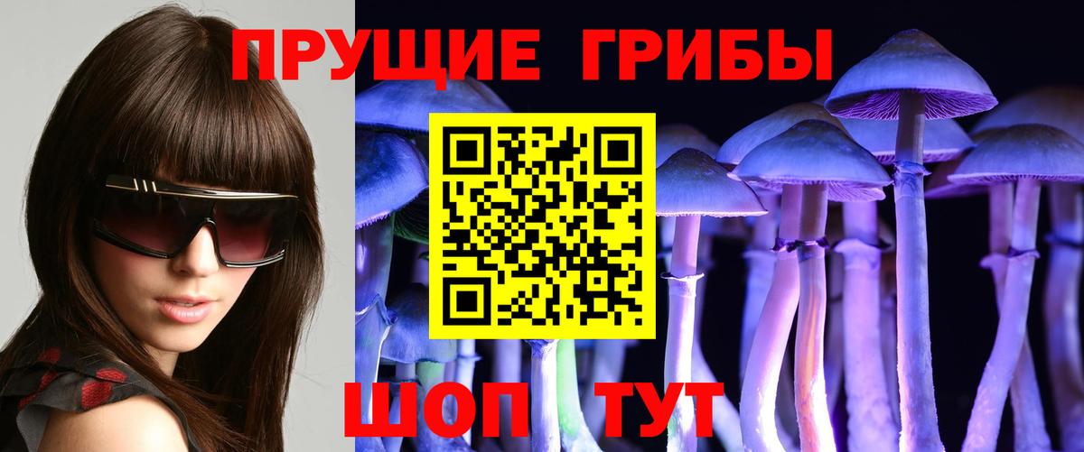 закладки  Псилоцибиновые грибы Psilocybe  Борисоглебск  Галлюциногенные грибы прущие грибы 