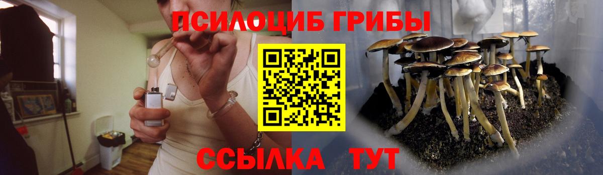 Галлюциногенные грибы Psilocybine cubensis Борисоглебск